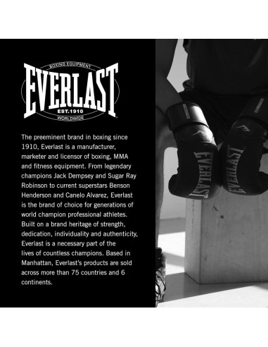 Guantes de Boxeo Everlast Prostyle 2 8oz para Entrenamiento