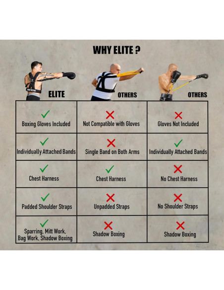 Arnés de Boxeo Elite Sports con Guantes 12oz y Bandas Ajustables