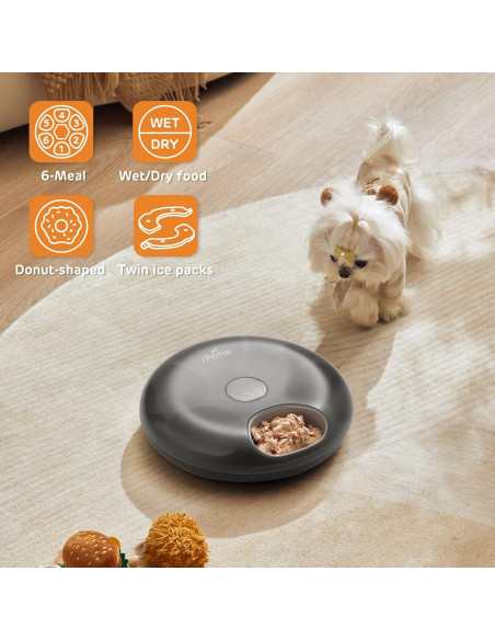 Alimentador Automático iPettie 6 Comidas para Gatos