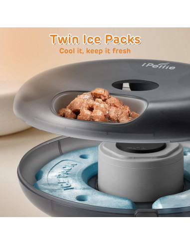 Alimentador Automático iPettie 6 Comidas para Gatos