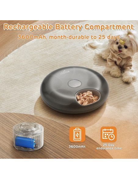 Alimentador Automático iPettie 6 Comidas para Gatos
