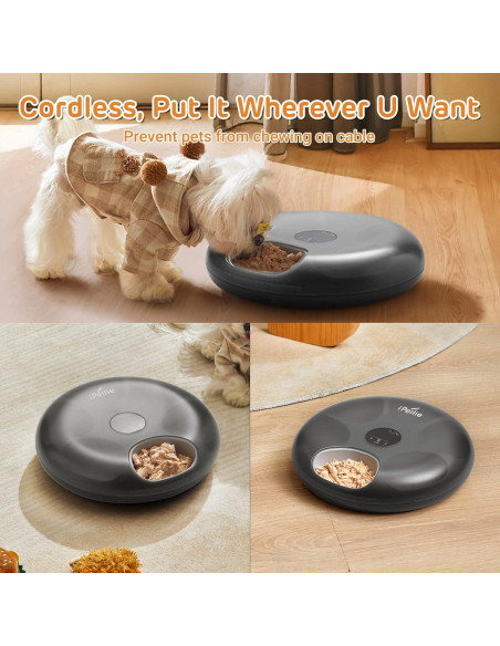 Alimentador Automático iPettie 6 Comidas para Gatos