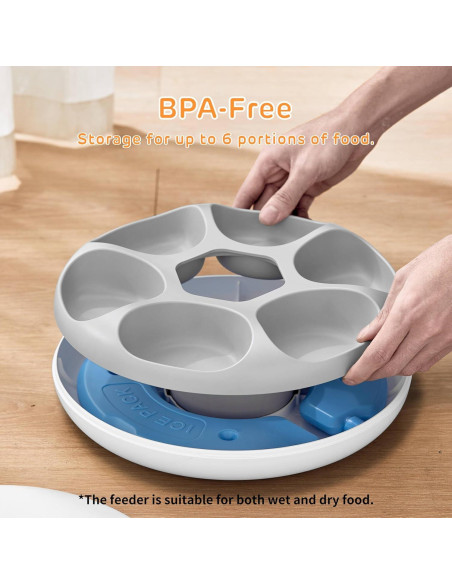 Alimentador Automático iPettie 6 Comidas para Gatos