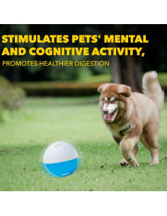 Dispensador de Juguetes Amicus Bola Loca Azul 100g 2