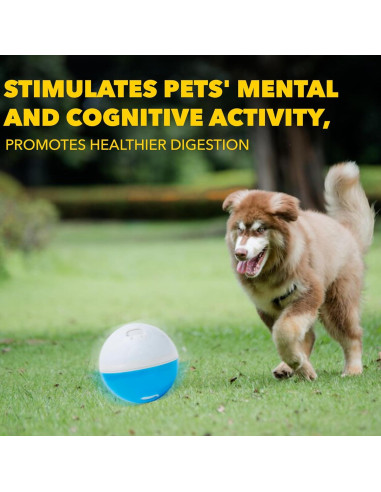 Dispensador de Juguetes Amicus Bola Loca Azul 100g