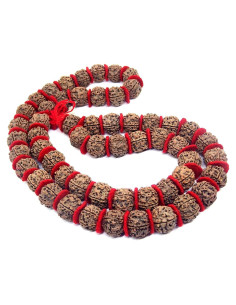 Mala de Rudraksha 5 Mukhi Grande 20mm Nepal 54+1 cuentas