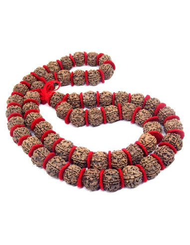 Mala de Rudraksha 5 Mukhi Grande 20mm Nepal 54+1 cuentas