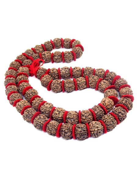 Mala de Rudraksha 5 Mukhi Grande 20mm Nepal 54+1 cuentas