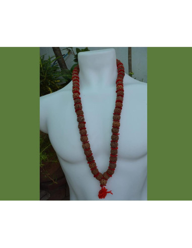 Mala de Rudraksha 5 Mukhi Grande 20mm Nepal 54+1 cuentas