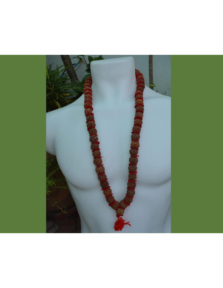 Mala de Rudraksha 5 Mukhi Grande 20mm Nepal 54+1 cuentas