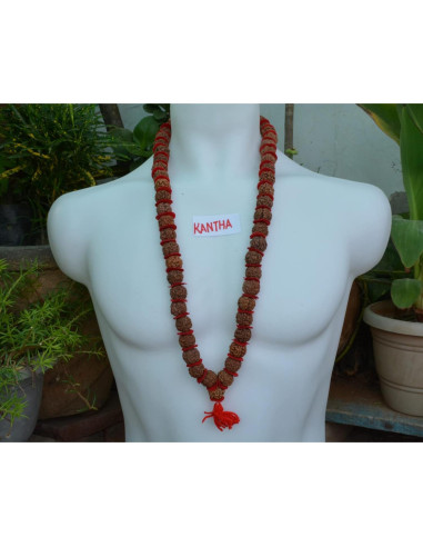 Mala de Rudraksha 5 Mukhi Grande 20mm Nepal 54+1 cuentas