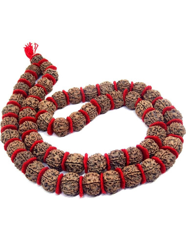 Mala de Rudraksha 5 Mukhi Grande 20mm Nepal 54+1 cuentas