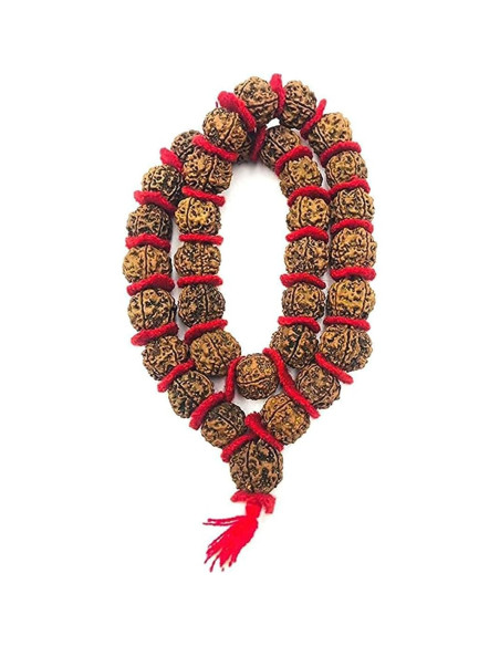 Mala de Rudraksha 5 Mukhi Grande 20mm Nepal 54+1 cuentas