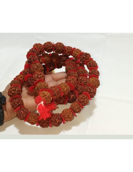 Mala de Rudraksha 5 Mukhi Grande 20mm Nepal 54+1 cuentas