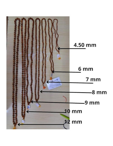Mala Japa Rudraksha 7mm Certificada con Bolsa Gomukhi