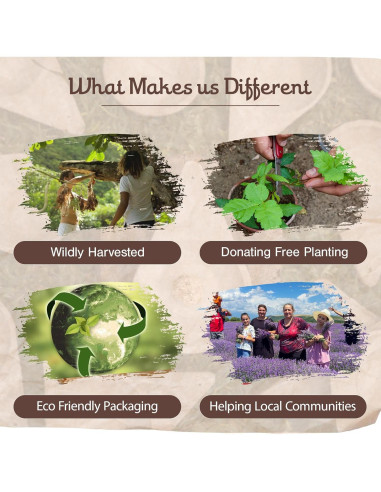 Sahumador Triangular Sagrada Madre - Incienso de Cemento 20x12x7.9cm