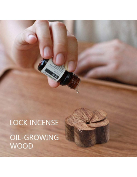 Difusor de Aceite Esencial Risprsulen Woodiness - Aromaterapia en Madera de Haya