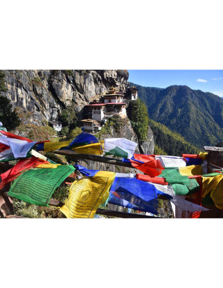 Banderas de Oración Tibetanas Healing Lama - 50 Banderas 16.5cm