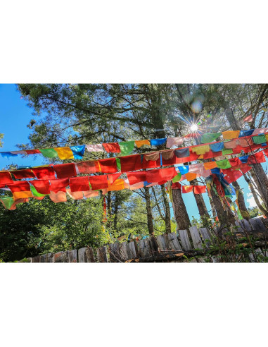 Banderas de Oración Tibetanas Aolamegs 60pcs 25.4x27.9cm