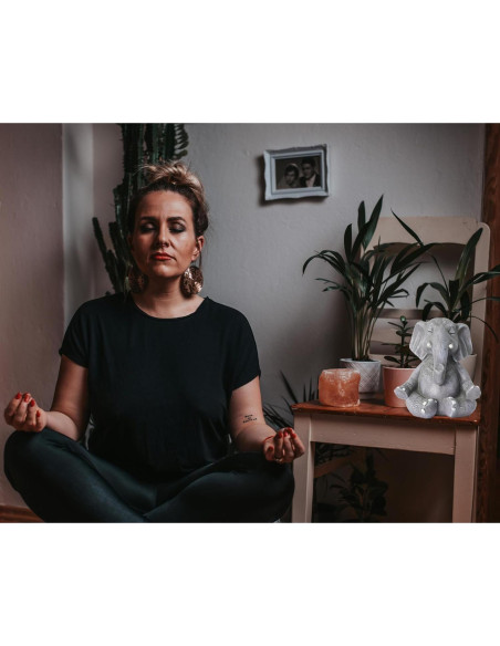 Estatua de Elefante Zen AMOIENSIS 13.97 cm Decoración Meditación