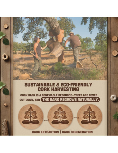 Alfombrilla de Yoga Plegable Orphesion 175x60cm Antideslizante