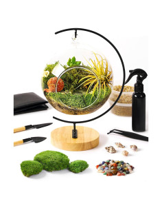 Kit de Terrario de 15 Piezas LUCKY RUNES con Musgo Vivo