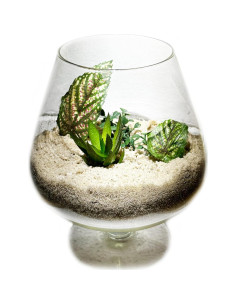 Arena Decorativa Natural 2LBS Genérica No Tóxica para Manualidades 2