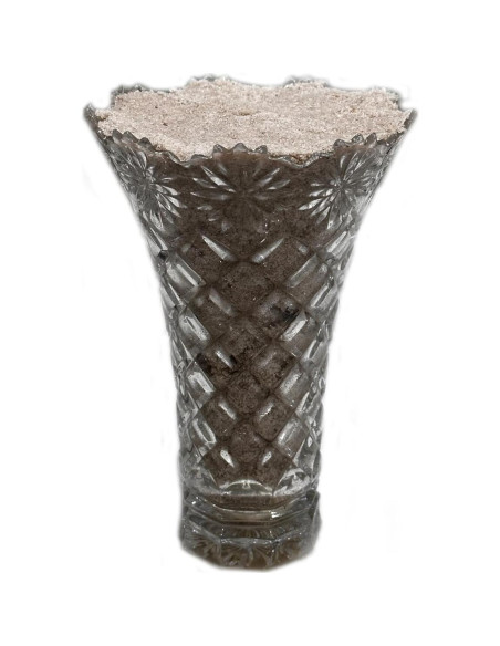 Arena Decorativa Natural 2LBS Genérica No Tóxica para Manualidades Arena Decorativa Natural 2LBS Genérica No Tóxica para Manualidades