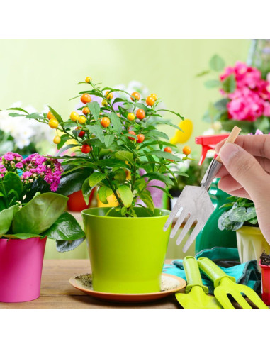 Garneck Mini Herramientas de Jardín 5 Piezas Accesorios Bonsái