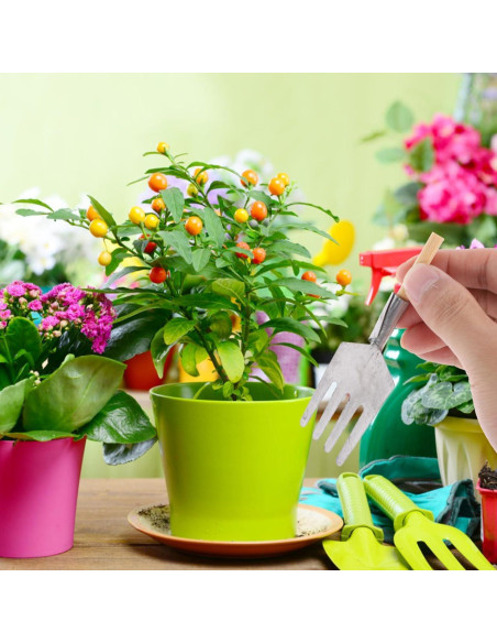 Garneck Mini Herramientas de Jardín 5 Piezas Accesorios Bonsái