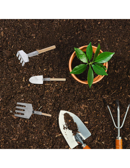 Garneck Mini Herramientas de Jardín 5 Piezas Accesorios Bonsái