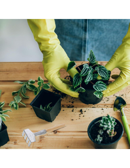 Garneck Mini Herramientas de Jardín 5 Piezas Accesorios Bonsái