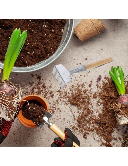 Garneck Mini Herramientas de Jardín 5 Piezas Accesorios Bonsái