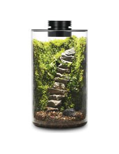 Terrario de Vidrio AREPK con Luz de Crecimiento 24.9 cm