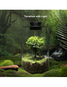 Terrario de Vidrio AREPK con Luz de Crecimiento 24.9 cm 2