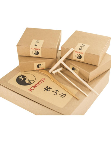 Jardín Zen ICNBUYS con Puente y Rastrillo 25.4x17.8 cm