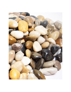 Piedras de Río Naturales 4.5 kg 2-3 Pulgadas para Jardín