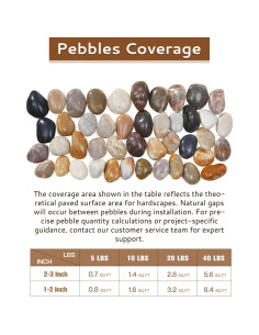 Piedras de Río Naturales 4.5 kg 2-3 Pulgadas para Jardín 2