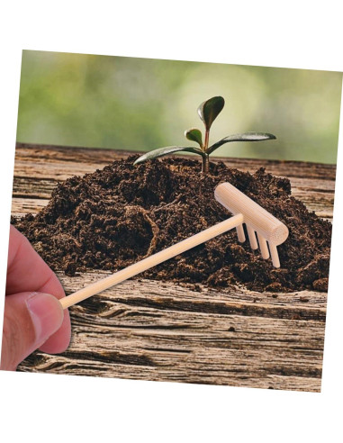 5 Rastrillos de Madera para Jardín Zen - Herramientas de Manualidades