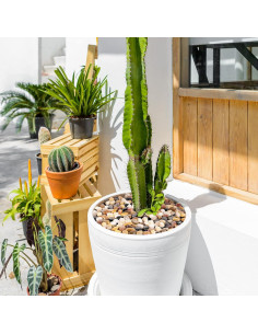 Rocas Decorativas Naturales GASPRO 6.78kg para Jardín 1-4.4cm 2