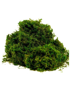 Musgo Artificial Preservado BYHER 225g Verde Fresco Decoración