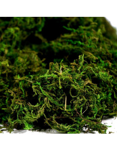 Musgo Artificial Preservado BYHER 225g Verde Fresco Decoración 2