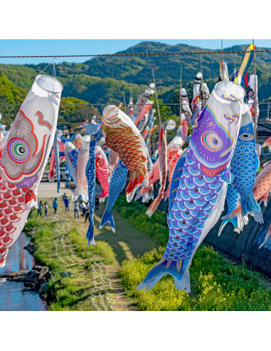 10 Banderas de Pez Koinobori Boao 40 cm Decoración Jardín