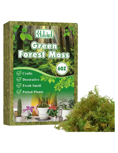 Musgo Verde Natural Halatool 170g para Plantas de Interior