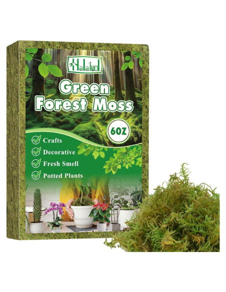 Musgo Verde Natural Halatool 170g para Plantas de Interior