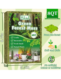 Musgo Verde Natural Halatool 170g para Plantas de Interior 2