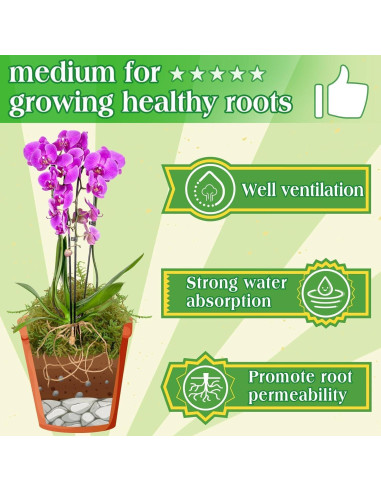 Musgo Verde Natural Halatool 170g para Plantas de Interior