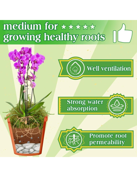 Musgo Verde Natural Halatool 170g para Plantas de Interior