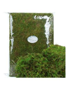 Musgo Artificial Verde BYHER 992g para Manualidades y Decoración