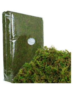 Musgo Artificial Verde BYHER 992g para Manualidades y Decoración 2